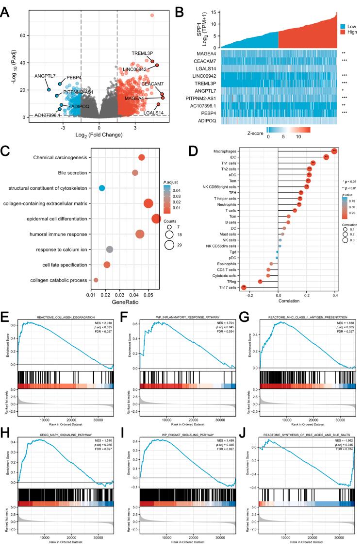 https://cdn.ncbi.nlm.nih.gov/pmc/blobs/1e1a/12212724/afd8d9dfa310/gr5.jpg