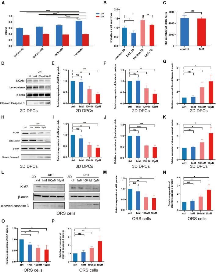 https://cdn.ncbi.nlm.nih.gov/pmc/blobs/1e1b/8484716/14be63adbfb8/fcell-09-724310-g003.jpg