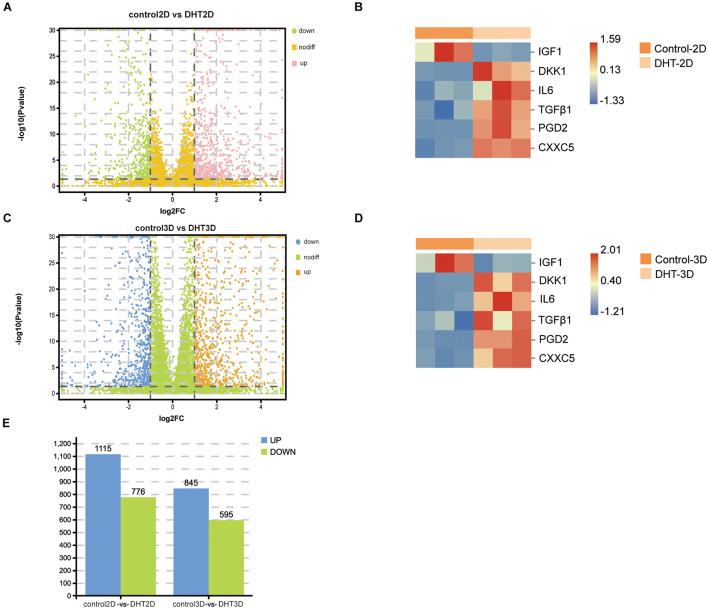 https://cdn.ncbi.nlm.nih.gov/pmc/blobs/1e1b/8484716/1882ff2487a4/fcell-09-724310-g006.jpg