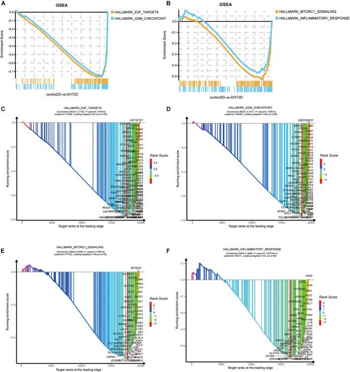 https://cdn.ncbi.nlm.nih.gov/pmc/blobs/1e1b/8484716/55dcc19adf9c/fcell-09-724310-g009.jpg