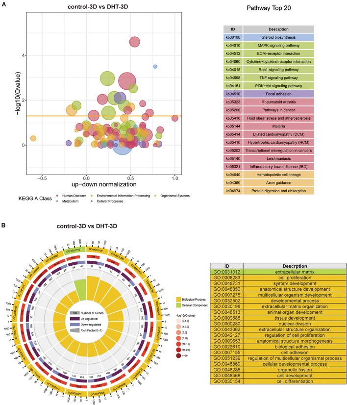 https://cdn.ncbi.nlm.nih.gov/pmc/blobs/1e1b/8484716/8936d886dba3/fcell-09-724310-g008.jpg