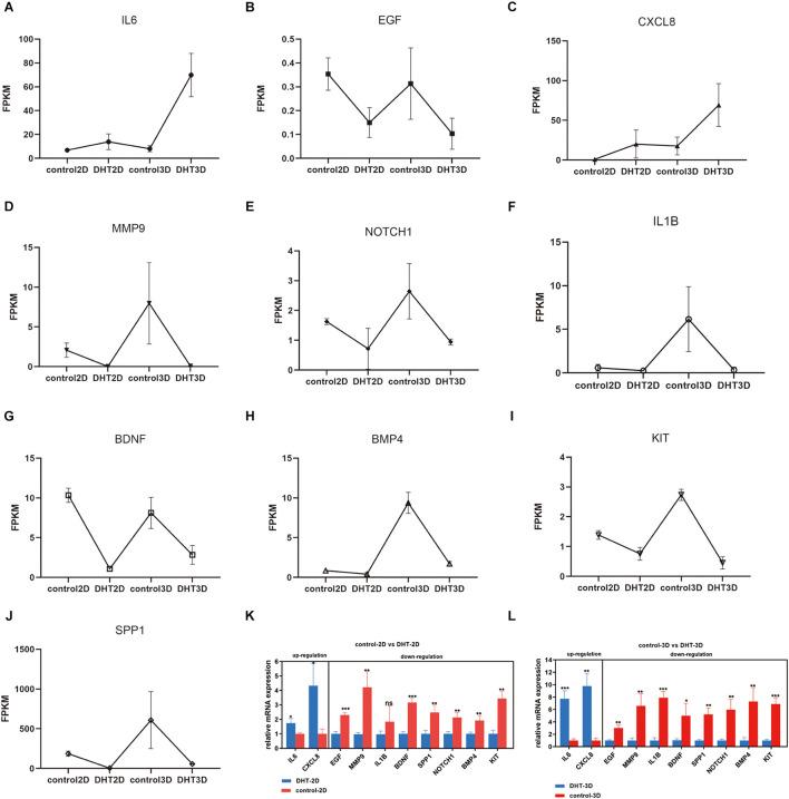 https://cdn.ncbi.nlm.nih.gov/pmc/blobs/1e1b/8484716/f641aef1b3f8/fcell-09-724310-g012.jpg
