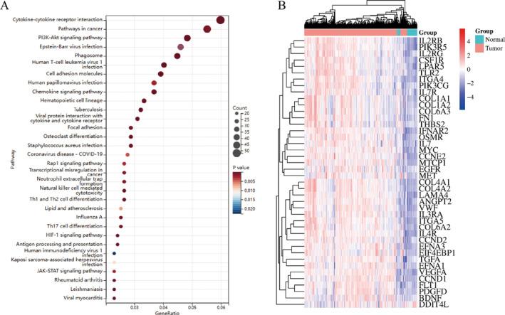 https://cdn.ncbi.nlm.nih.gov/pmc/blobs/1e1e/11375326/4774867f1c62/CNR2-7-e70010-g007.jpg