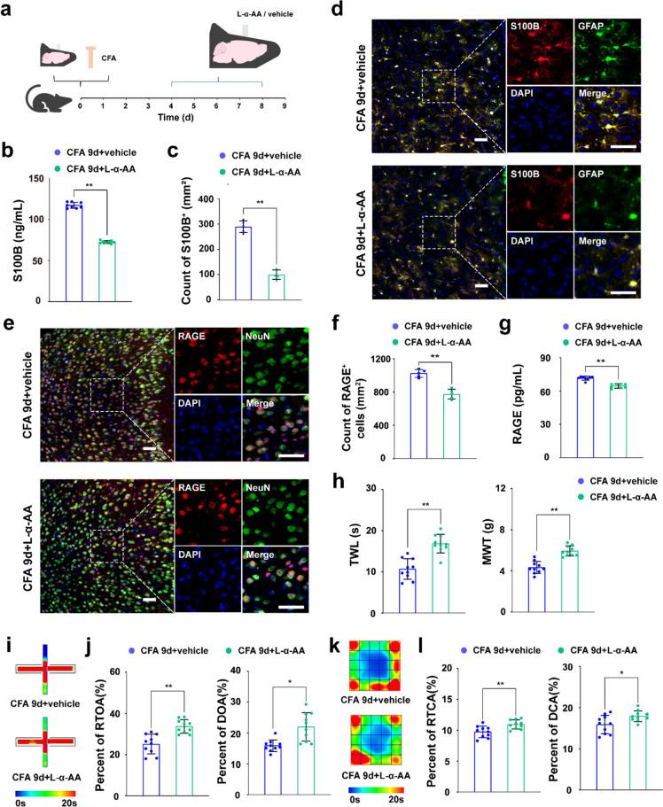 https://cdn.ncbi.nlm.nih.gov/pmc/blobs/1e20/12078453/1d31b8857cb1/12035_2025_4713_Fig8_HTML.jpg