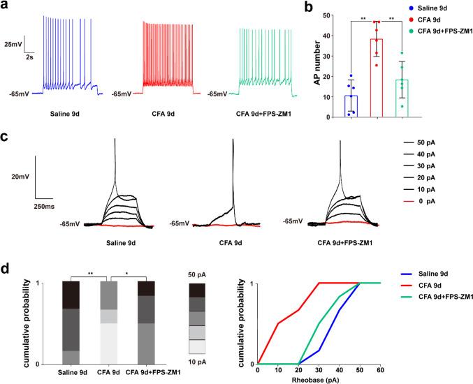 https://cdn.ncbi.nlm.nih.gov/pmc/blobs/1e20/12078453/e7bab615533a/12035_2025_4713_Fig5_HTML.jpg