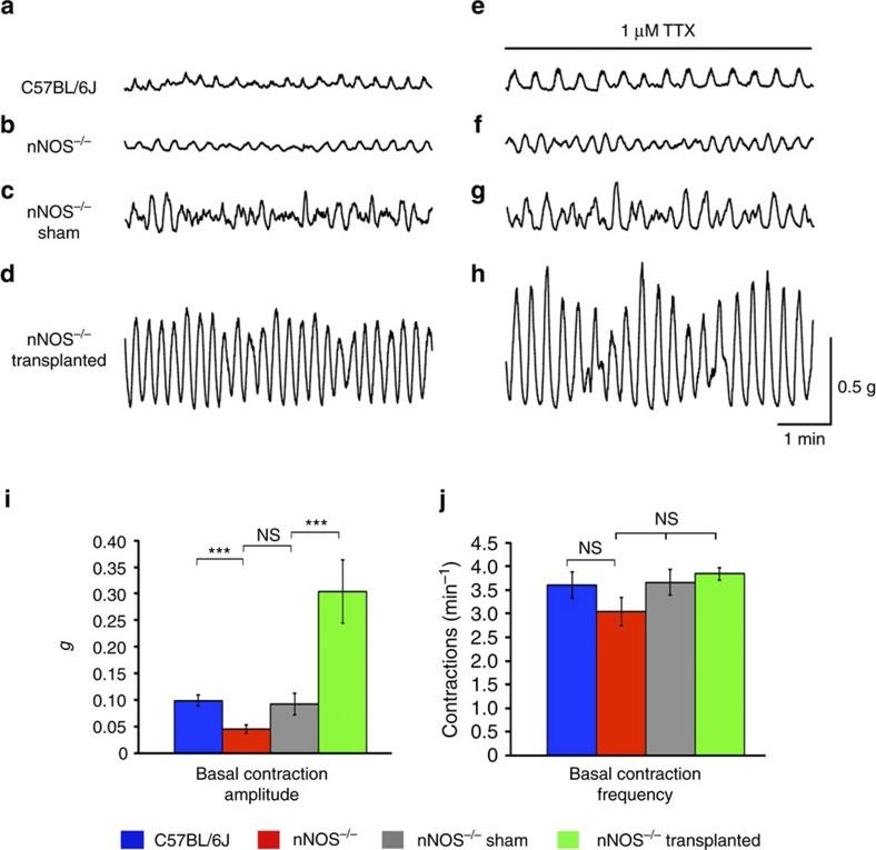 https://cdn.ncbi.nlm.nih.gov/pmc/blobs/1e23/5500880/4e00e61e4856/ncomms15937-f4.jpg