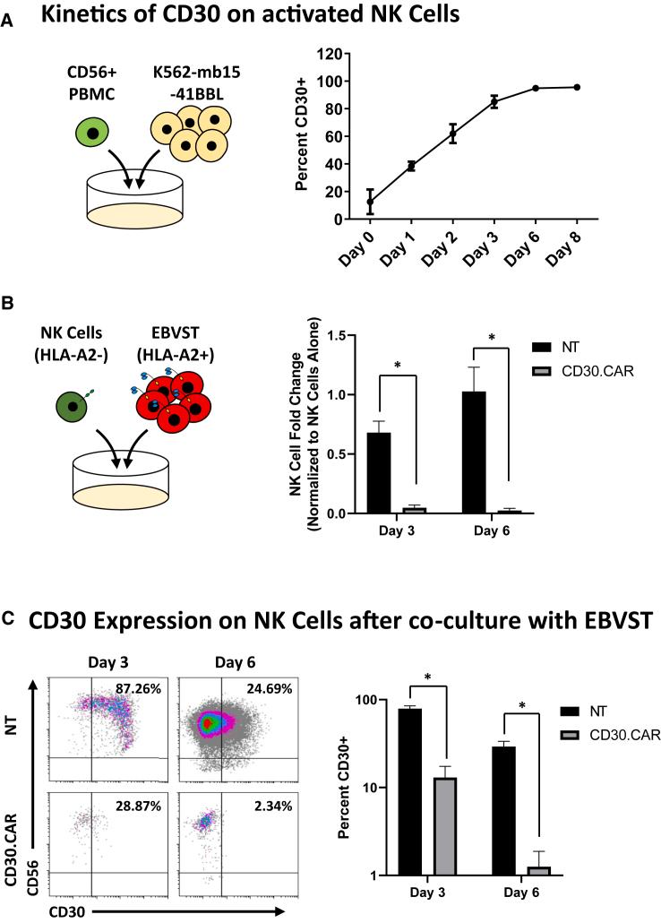 https://cdn.ncbi.nlm.nih.gov/pmc/blobs/1e24/11223124/366c6e0c7f82/gr7.jpg