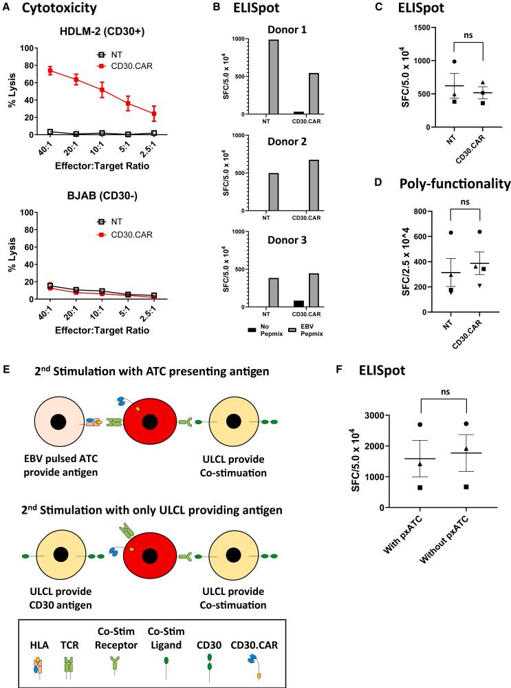 https://cdn.ncbi.nlm.nih.gov/pmc/blobs/1e24/11223124/45d9f326ce60/gr2.jpg