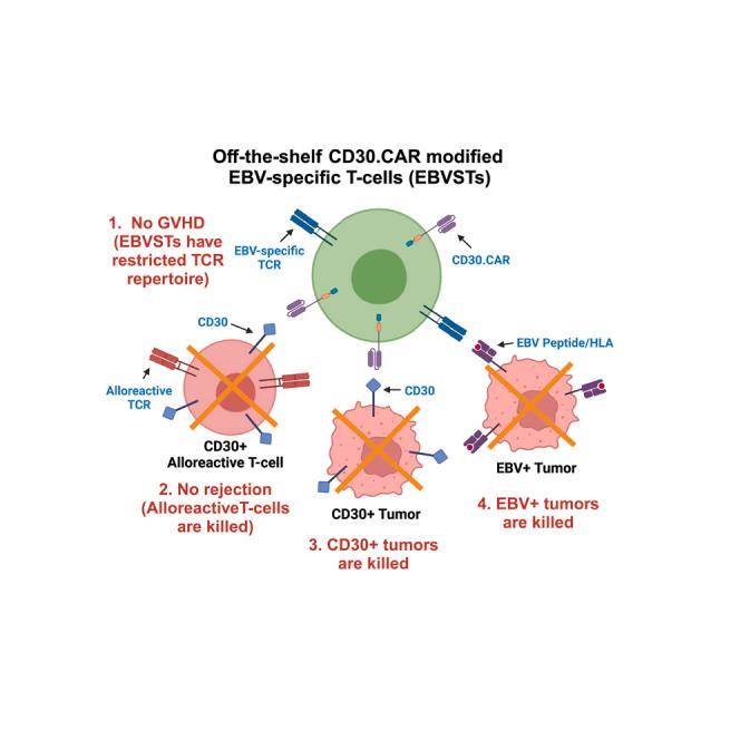 https://cdn.ncbi.nlm.nih.gov/pmc/blobs/1e24/11223124/623122d1827d/fx1.jpg