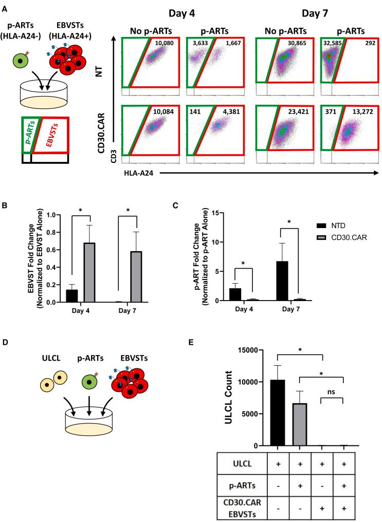 https://cdn.ncbi.nlm.nih.gov/pmc/blobs/1e24/11223124/81f1d96626e7/gr6.jpg