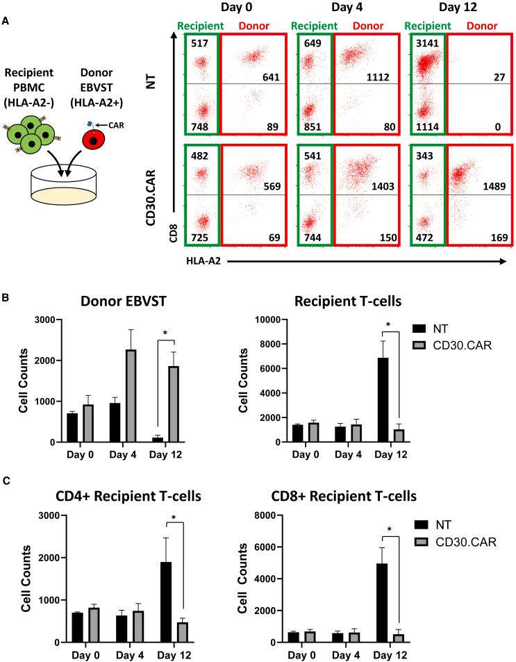 https://cdn.ncbi.nlm.nih.gov/pmc/blobs/1e24/11223124/b63fb1958e6b/gr4.jpg