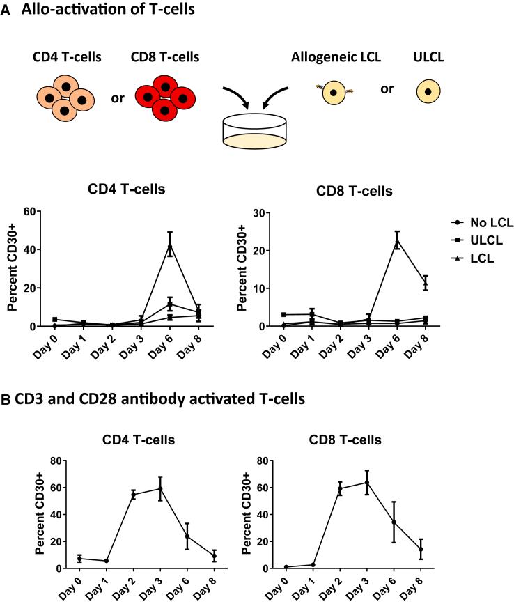 https://cdn.ncbi.nlm.nih.gov/pmc/blobs/1e24/11223124/c2e89384c2f5/gr5.jpg