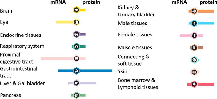 https://cdn.ncbi.nlm.nih.gov/pmc/blobs/1e24/11318966/7e745c7e350c/tmh-2024-0051-0004-538863_F01.jpg