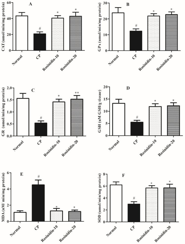 https://cdn.ncbi.nlm.nih.gov/pmc/blobs/1e26/9368304/9182301eb674/ijerph-19-09719-g003.jpg