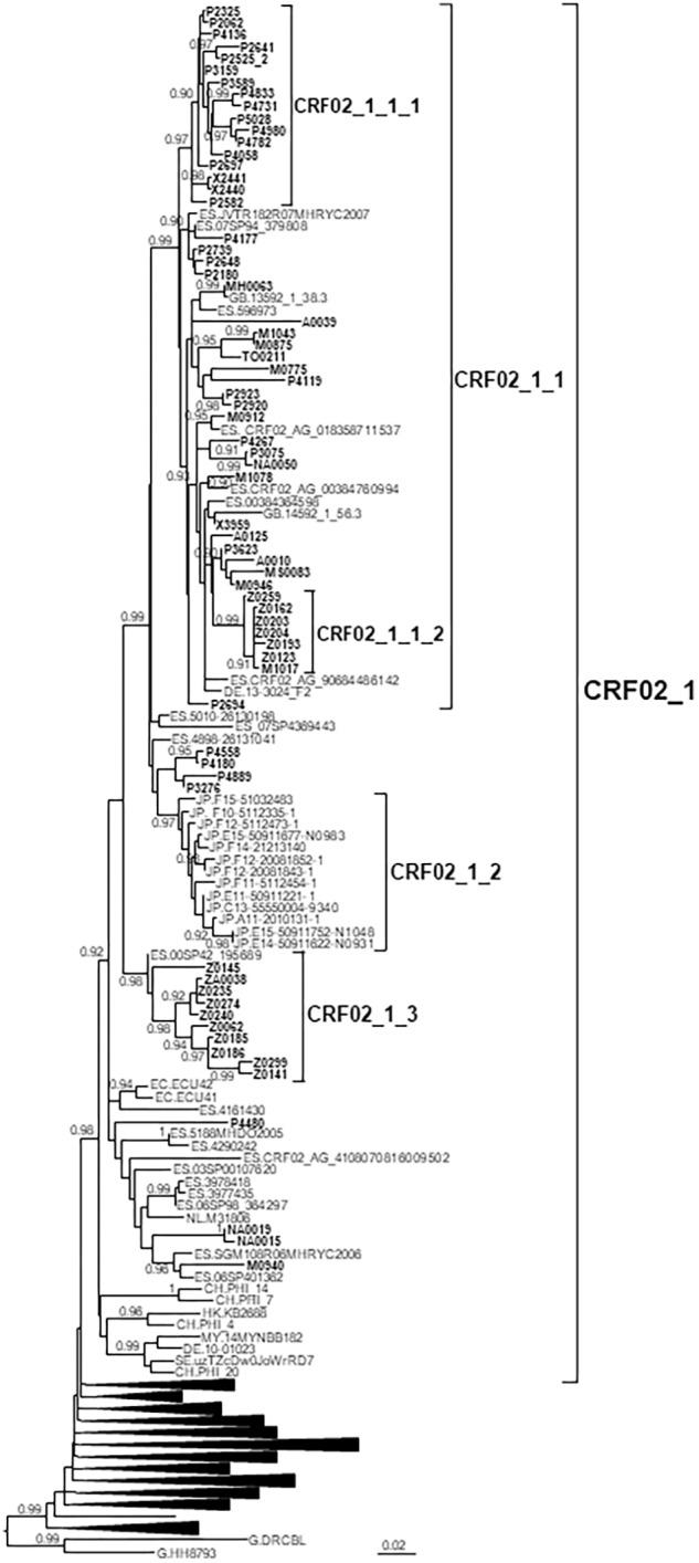 https://cdn.ncbi.nlm.nih.gov/pmc/blobs/1e2a/6457325/2c60f9887fc8/fmicb-10-00655-g001.jpg