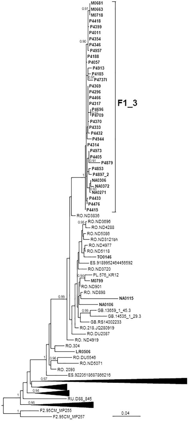 https://cdn.ncbi.nlm.nih.gov/pmc/blobs/1e2a/6457325/60e280e6eb10/fmicb-10-00655-g003.jpg