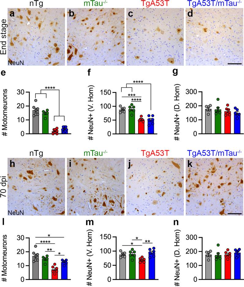 https://cdn.ncbi.nlm.nih.gov/pmc/blobs/1e2b/9248195/07732479713c/40035_2022_309_Fig6_HTML.jpg