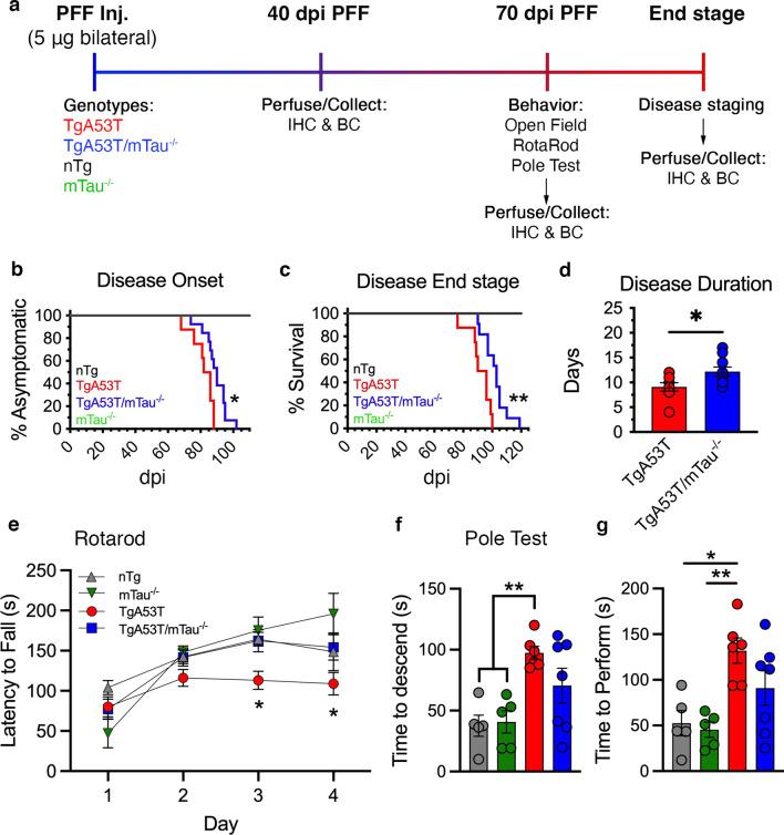 https://cdn.ncbi.nlm.nih.gov/pmc/blobs/1e2b/9248195/2bfa2f10abaf/40035_2022_309_Fig1_HTML.jpg