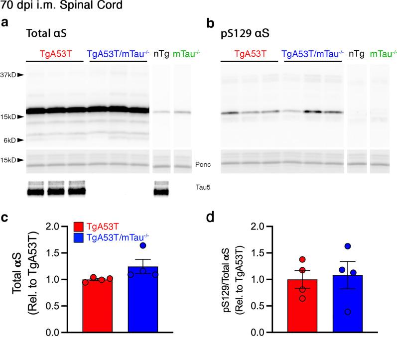 https://cdn.ncbi.nlm.nih.gov/pmc/blobs/1e2b/9248195/75e143ea2acf/40035_2022_309_Fig4_HTML.jpg