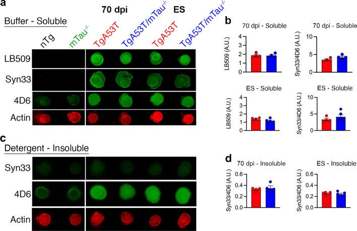https://cdn.ncbi.nlm.nih.gov/pmc/blobs/1e2b/9248195/7d8d1027012b/40035_2022_309_Fig7_HTML.jpg