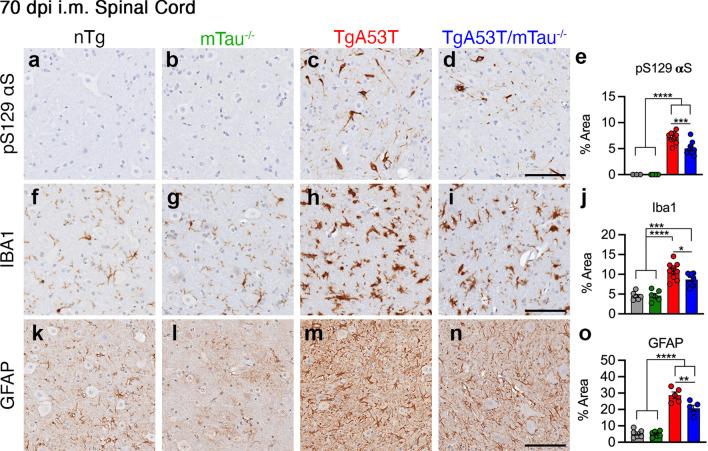 https://cdn.ncbi.nlm.nih.gov/pmc/blobs/1e2b/9248195/cae89da4ef36/40035_2022_309_Fig5_HTML.jpg