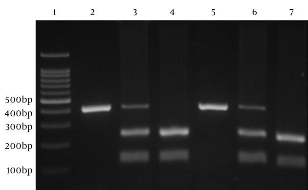 https://cdn.ncbi.nlm.nih.gov/pmc/blobs/1e2e/4852092/e2885521346f/hepatmon-16-02-32427-g001.jpg