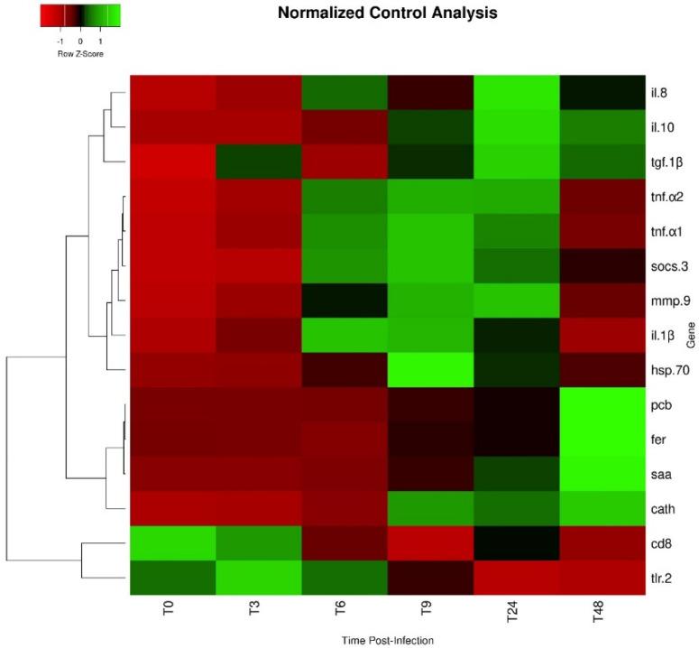 https://cdn.ncbi.nlm.nih.gov/pmc/blobs/1e2e/8948951/5cfca3ca3780/ijms-23-03096-g006.jpg