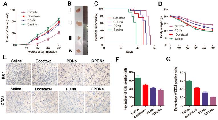 https://cdn.ncbi.nlm.nih.gov/pmc/blobs/1e2e/8998744/156bca7774cc/ijms-23-03623-g006.jpg