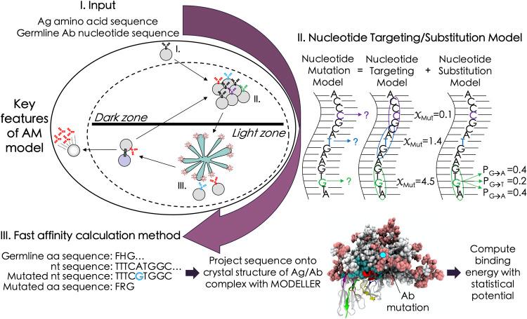 https://cdn.ncbi.nlm.nih.gov/pmc/blobs/1e2e/9020693/d5b42d77d85f/pcbi.1009391.g001.jpg