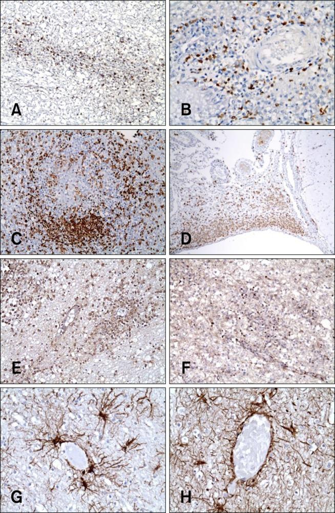 https://cdn.ncbi.nlm.nih.gov/pmc/blobs/1e30/4483504/1de3efe562d5/jvs-16-203-g004.jpg