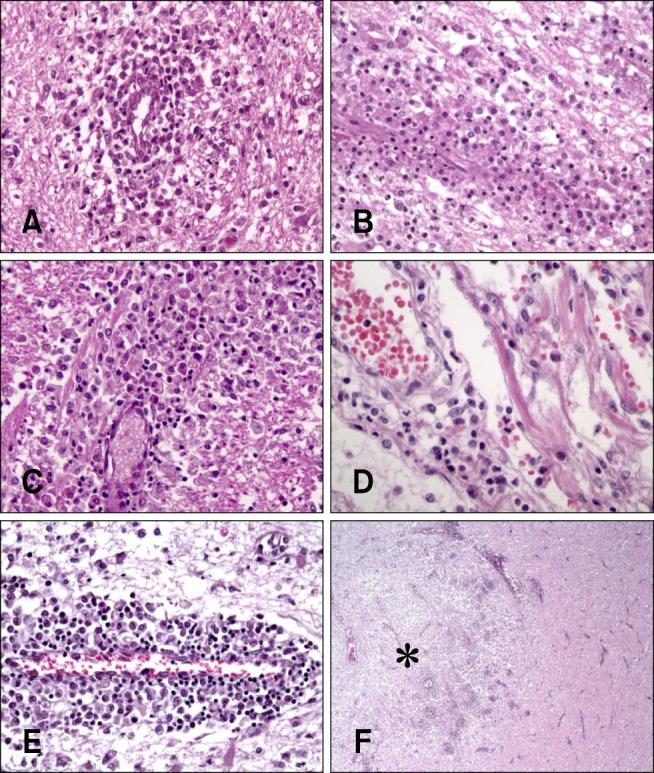 https://cdn.ncbi.nlm.nih.gov/pmc/blobs/1e30/4483504/24df1f48e41e/jvs-16-203-g003.jpg