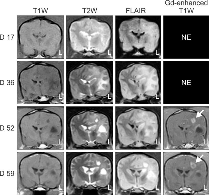https://cdn.ncbi.nlm.nih.gov/pmc/blobs/1e30/4483504/3248260d9d30/jvs-16-203-g001.jpg