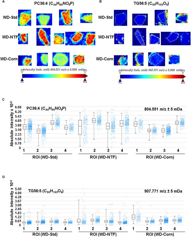 https://cdn.ncbi.nlm.nih.gov/pmc/blobs/1e31/6603084/0b8546017f7e/fphys-10-00770-g003.jpg