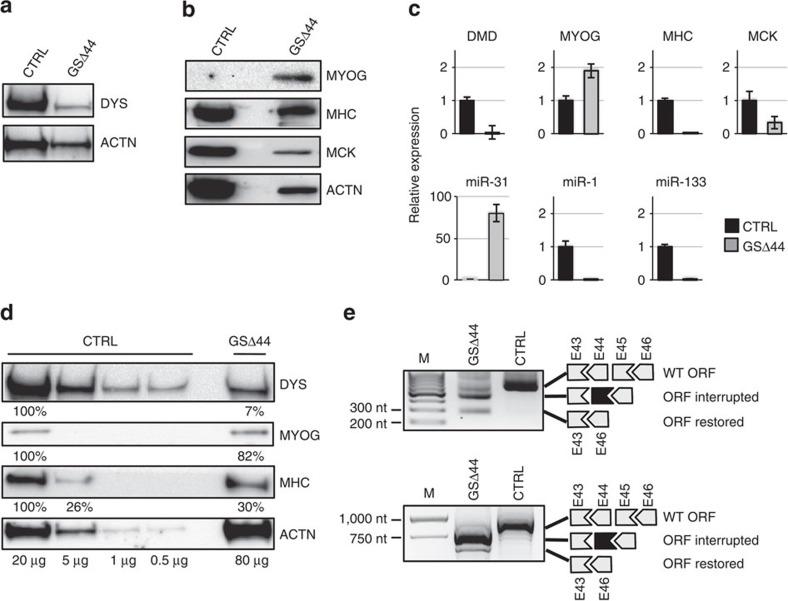 https://cdn.ncbi.nlm.nih.gov/pmc/blobs/1e33/4736020/19a94a49606a/ncomms10488-f1.jpg