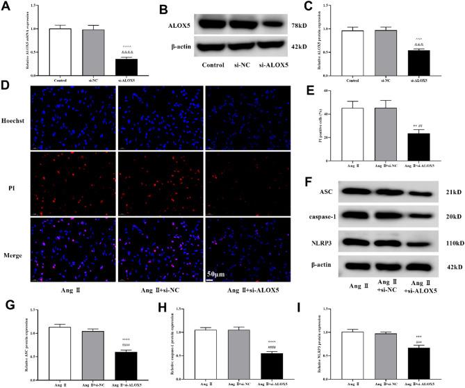 https://cdn.ncbi.nlm.nih.gov/pmc/blobs/1e37/12334731/34a290dc55e0/41598_2025_14268_Fig8_HTML.jpg