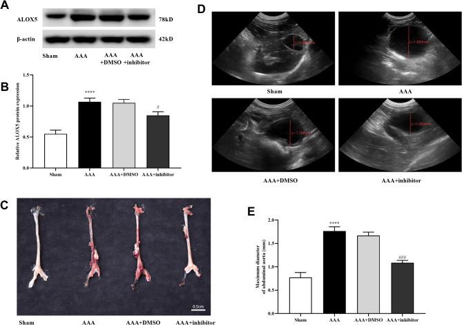https://cdn.ncbi.nlm.nih.gov/pmc/blobs/1e37/12334731/46e0cf3f7214/41598_2025_14268_Fig1_HTML.jpg
