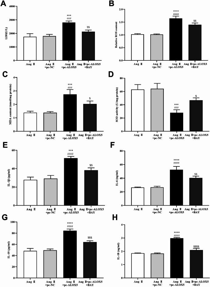 https://cdn.ncbi.nlm.nih.gov/pmc/blobs/1e37/12334731/82ca699c330c/41598_2025_14268_Fig12_HTML.jpg