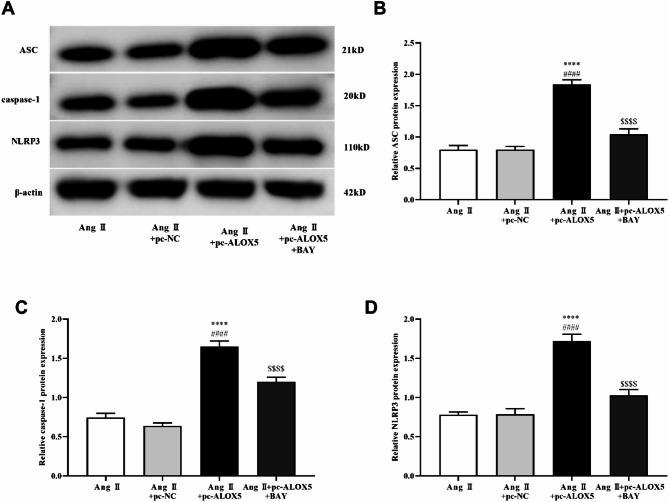 https://cdn.ncbi.nlm.nih.gov/pmc/blobs/1e37/12334731/dacfc05c8624/41598_2025_14268_Fig11_HTML.jpg