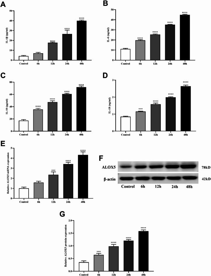 https://cdn.ncbi.nlm.nih.gov/pmc/blobs/1e37/12334731/de2064cf75c3/41598_2025_14268_Fig7_HTML.jpg