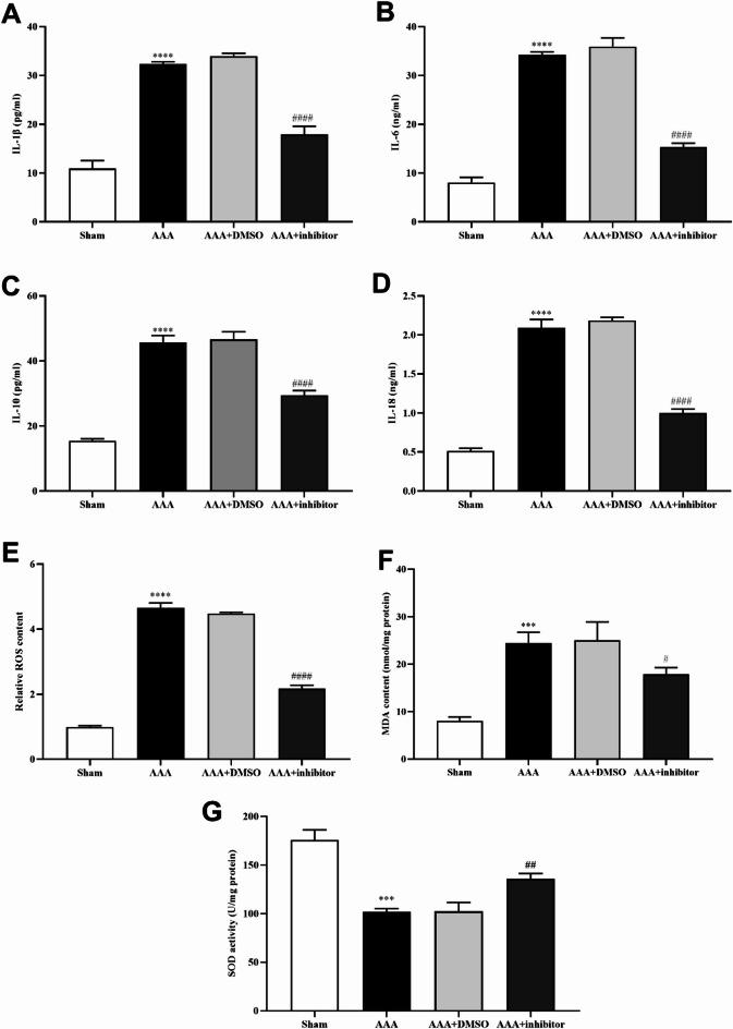 https://cdn.ncbi.nlm.nih.gov/pmc/blobs/1e37/12334731/f48a5d6b0a3d/41598_2025_14268_Fig3_HTML.jpg