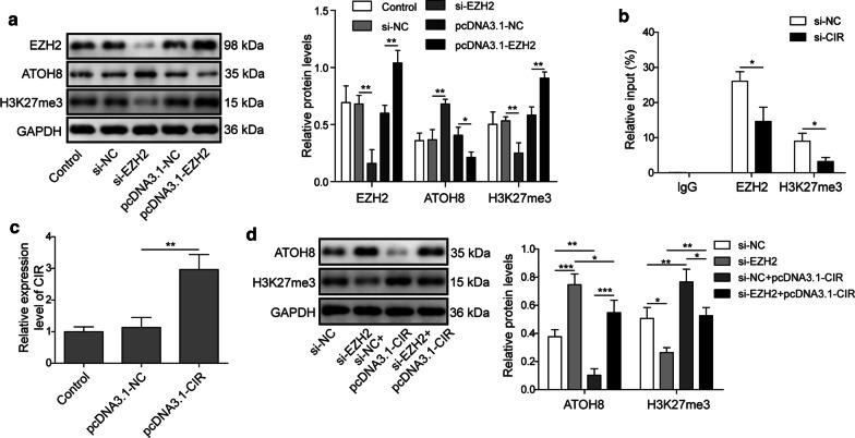 https://cdn.ncbi.nlm.nih.gov/pmc/blobs/1e38/7866678/f21b7326598a/10020_2021_272_Fig5_HTML.jpg