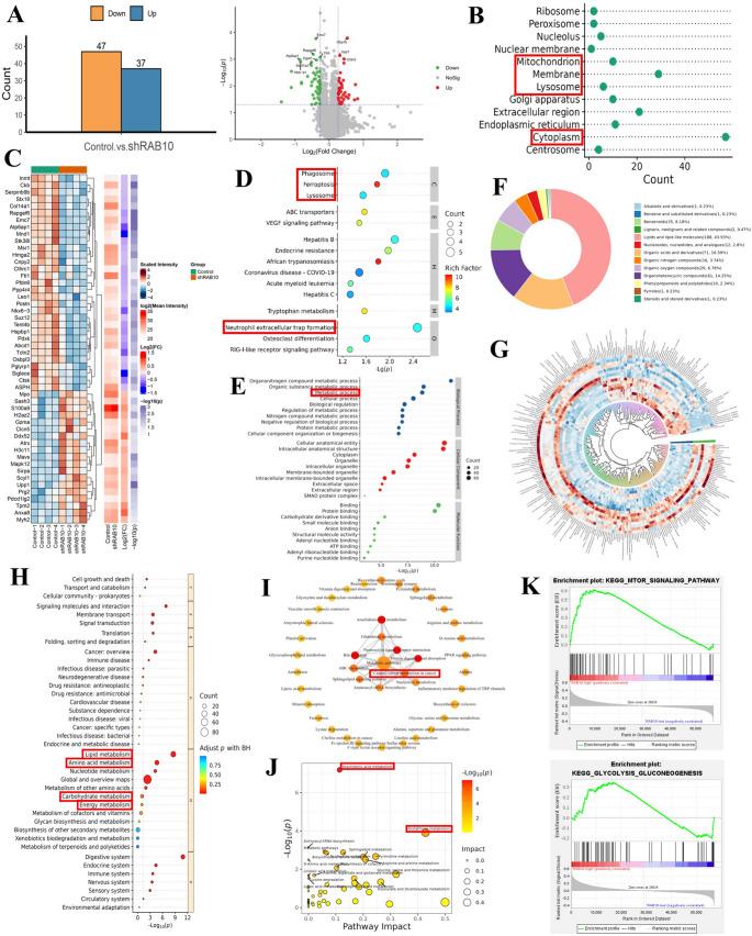 https://cdn.ncbi.nlm.nih.gov/pmc/blobs/1e39/12259503/0fa84efcd22b/18_2025_5788_Fig4_HTML.jpg