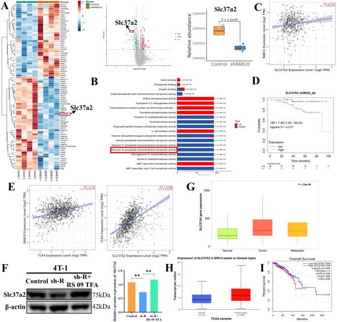 https://cdn.ncbi.nlm.nih.gov/pmc/blobs/1e39/12259503/1c10f0a5b59a/18_2025_5788_Fig8_HTML.jpg