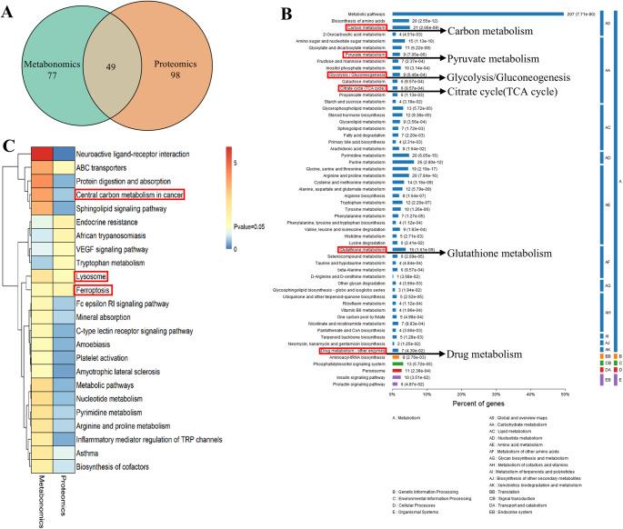 https://cdn.ncbi.nlm.nih.gov/pmc/blobs/1e39/12259503/388c2b9c10dd/18_2025_5788_Fig5_HTML.jpg