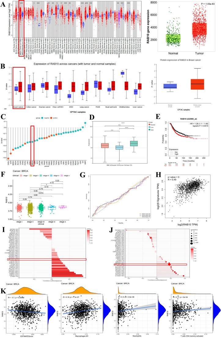 https://cdn.ncbi.nlm.nih.gov/pmc/blobs/1e39/12259503/c96ec085fec0/18_2025_5788_Fig1_HTML.jpg