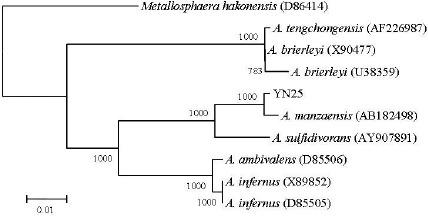 https://cdn.ncbi.nlm.nih.gov/pmc/blobs/1e3a/3769825/81d6ce837633/bjm-42-514-g003.jpg