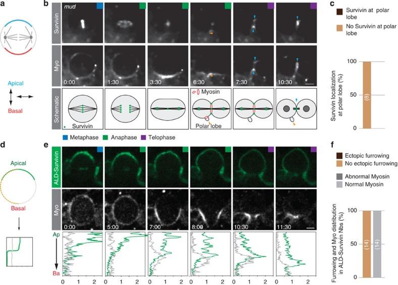 https://cdn.ncbi.nlm.nih.gov/pmc/blobs/1e3a/4544045/66a4ba30d51d/ncomms7551-f4.jpg