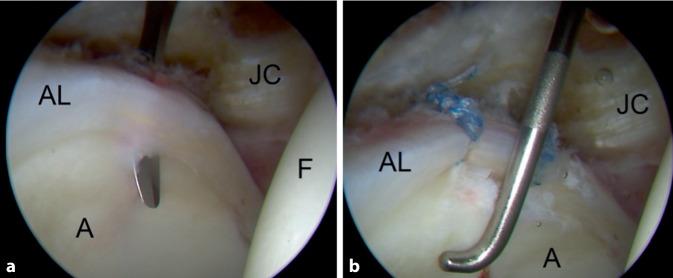 https://cdn.ncbi.nlm.nih.gov/pmc/blobs/1e3b/10477097/a51410184fb3/132_2023_4399_Fig3_HTML.jpg