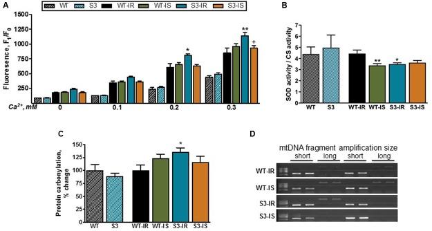 https://cdn.ncbi.nlm.nih.gov/pmc/blobs/1e3b/5432544/020b6c9678f9/fphar-08-00275-g005.jpg