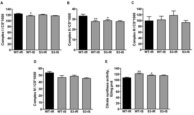 https://cdn.ncbi.nlm.nih.gov/pmc/blobs/1e3b/5432544/610a4dd27300/fphar-08-00275-g004.jpg
